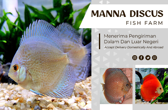 Profil-terbaru
