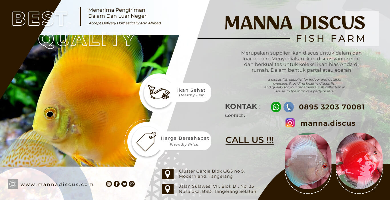slider manna discus terbaru